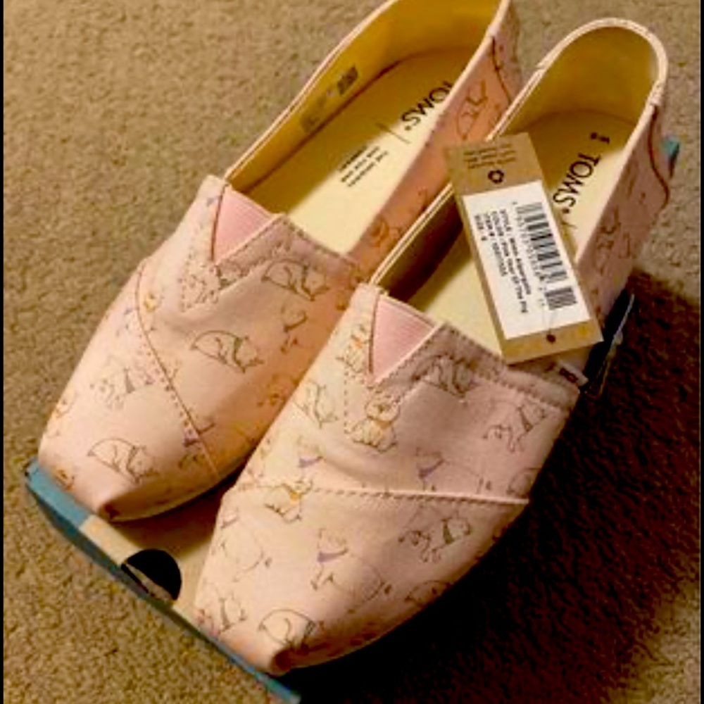Nwt and box Toms apragata pig print